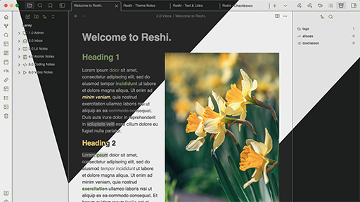 Reshi Theme Screenshot
